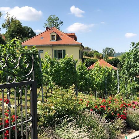 Rebenhaus Meissen Apartment Luaran gambar