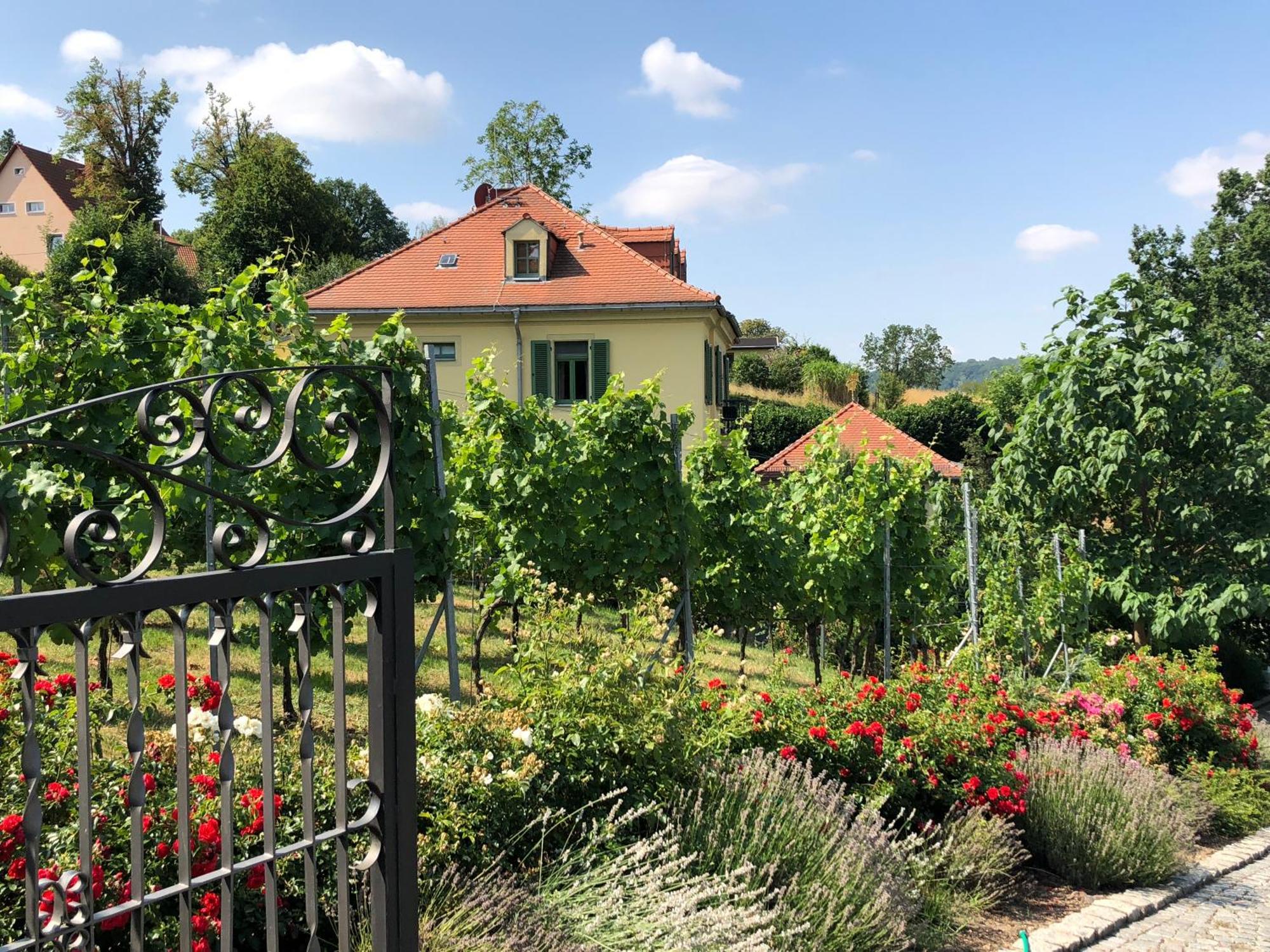 Rebenhaus Meissen Apartment Luaran gambar