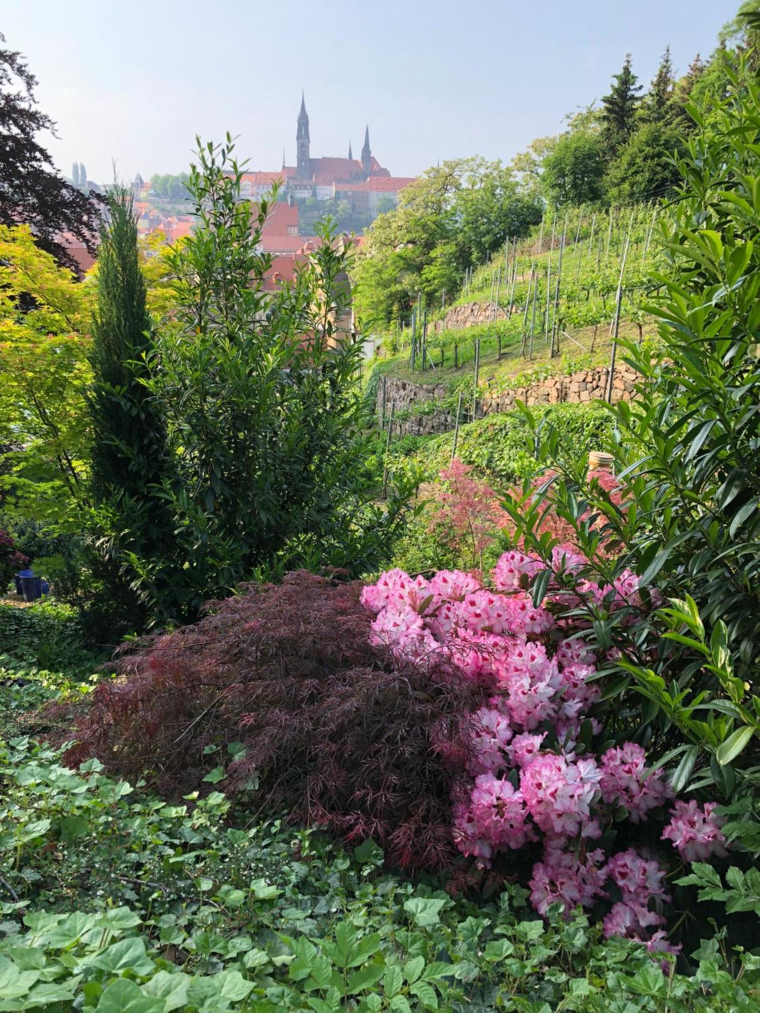 Rebenhaus Meissen Apartment Luaran gambar