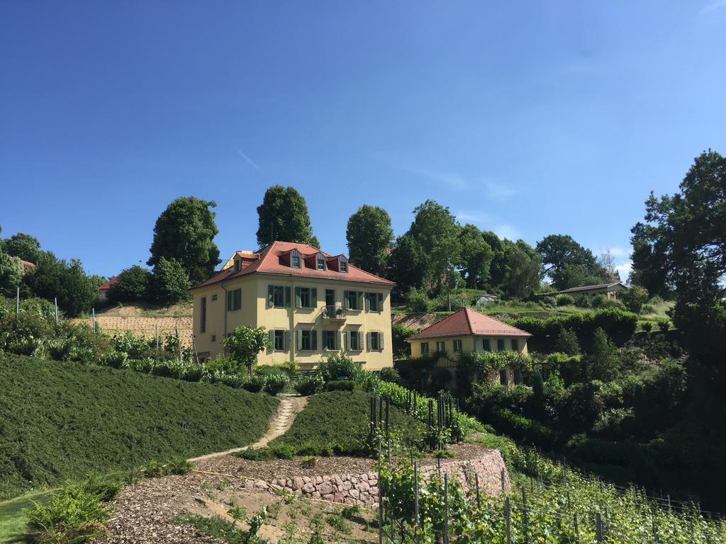 Rebenhaus Meissen Apartment Luaran gambar