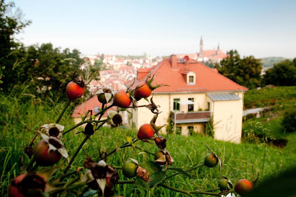 Rebenhaus Meissen Apartment Luaran gambar